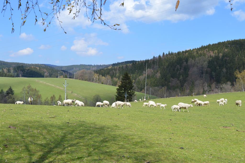 Chata Nova Seninka Staré Město Dış mekan fotoğraf